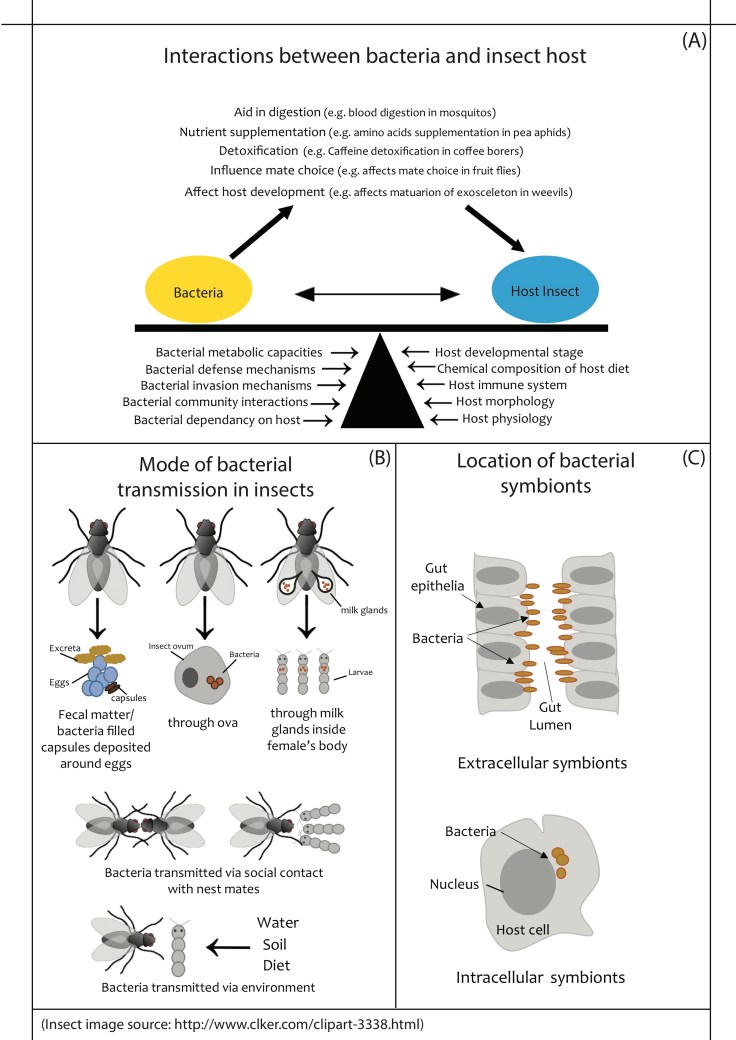 2017_Agarwal,Phalnikar&Agashe_Fig1