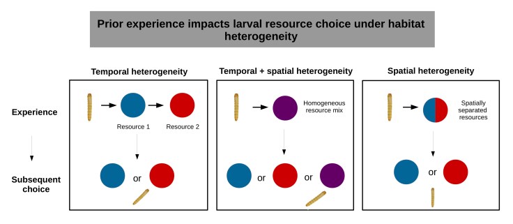 graphical abstract final